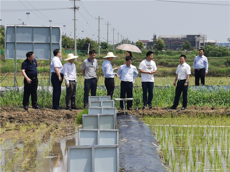 ok钱包官网-全球当先的数字钱包平台